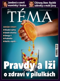 Téma č. 4 / 2025