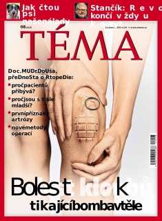 Téma č. 8 / 2025