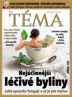 Téma č. 21 / 2025