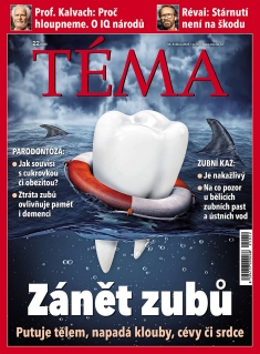 Téma č. 22 / 2025