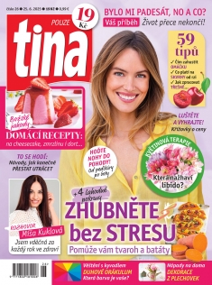 tina č. 26 / 2025
