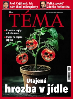 Téma č. 30 / 2025