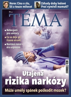 Téma č. 31 / 2025