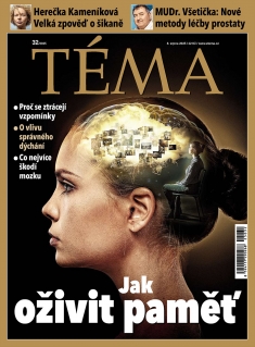 Téma č. 32 / 2025