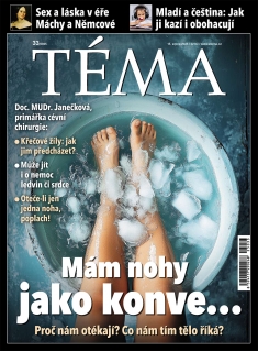 Téma č. 33 / 2025