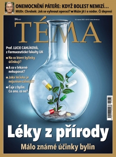 Téma č. 34 / 2025