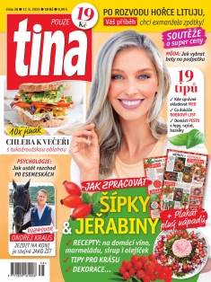 tina č. 38 / 2025