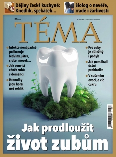 Téma č. 39 / 2025