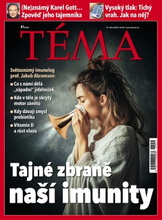Téma č. 41 / 2025