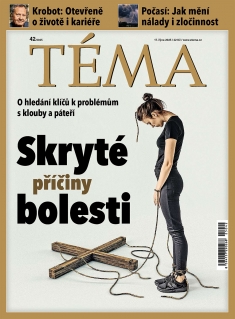 Téma č. 42 / 2025