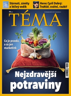 Téma č. 48 / 2025