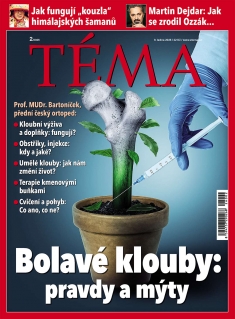 Téma č. 2 / 2026