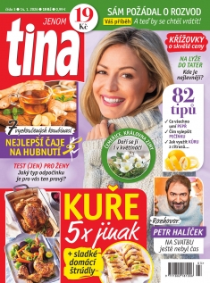 tina č. 3 / 2026