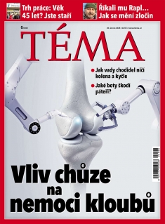 Téma č. 8 / 2026