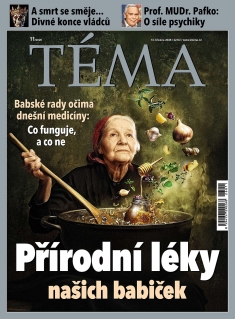 Téma č. 11 / 2026
