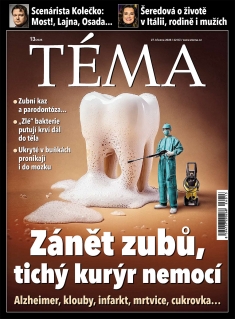Téma č. 13 / 2026