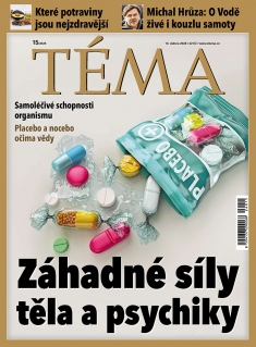 Téma č. 15 / 2026