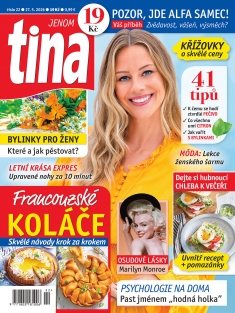 tina č. 22 / 2026