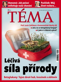 Téma č. 22 / 2026