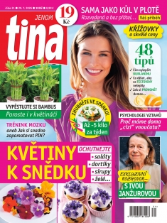 tina č. 31 / 2026