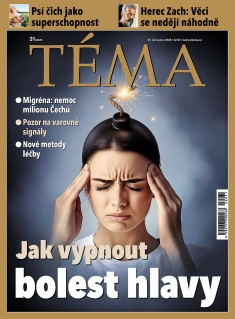 Téma č. 31 / 2026