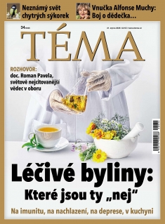 Téma č. 34 / 2026