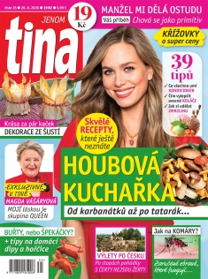 tina č. 35 / 2026