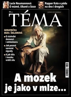 Téma č. 36 / 2026