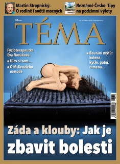 Téma č. 38 / 2026