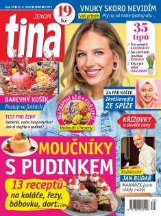 tina č. 39 / 2026