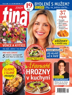 tina č. 41 / 2026