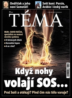 Téma č. 41 / 2026