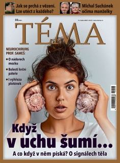Téma č. 3 / 2024