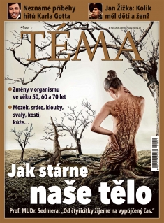 Téma č. 41 / 2024