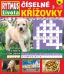 Rytmus života Číselné křížovky č. 3 / 2025