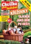 Chvilka pro luštění Křížovky č. 8 / 2025
